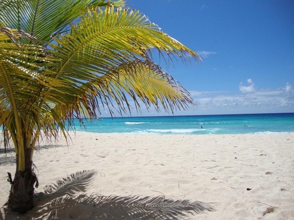 Beach Guest House Cleverdale Bridgetown Camera foto